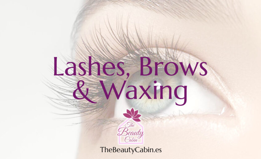 Lashes, Brows and Waxing
