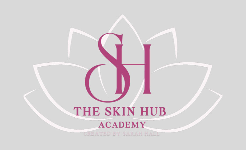 The Skin Hub Academy